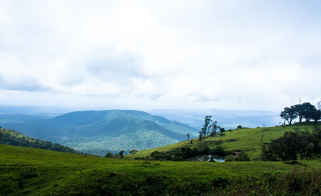 還為自身的 還為自身的