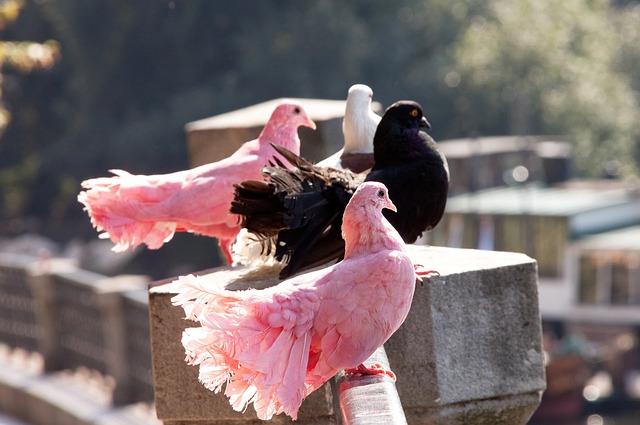 这不仅仅是 这不仅仅是