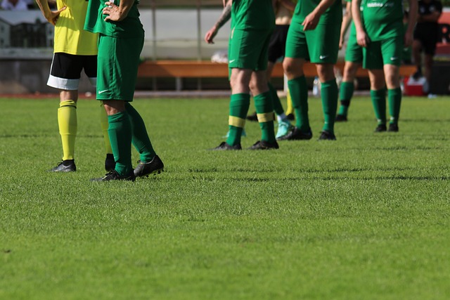 或管理顾问 或管理顾问