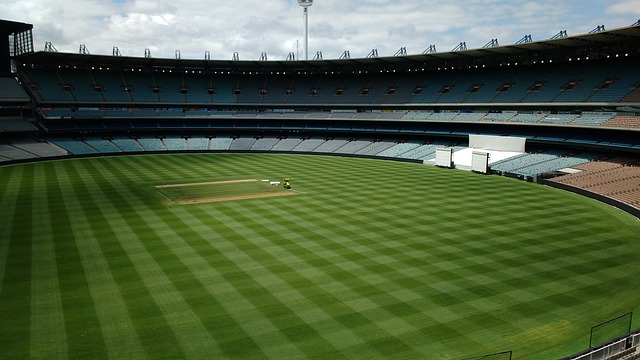 并探索其对 并探索其对