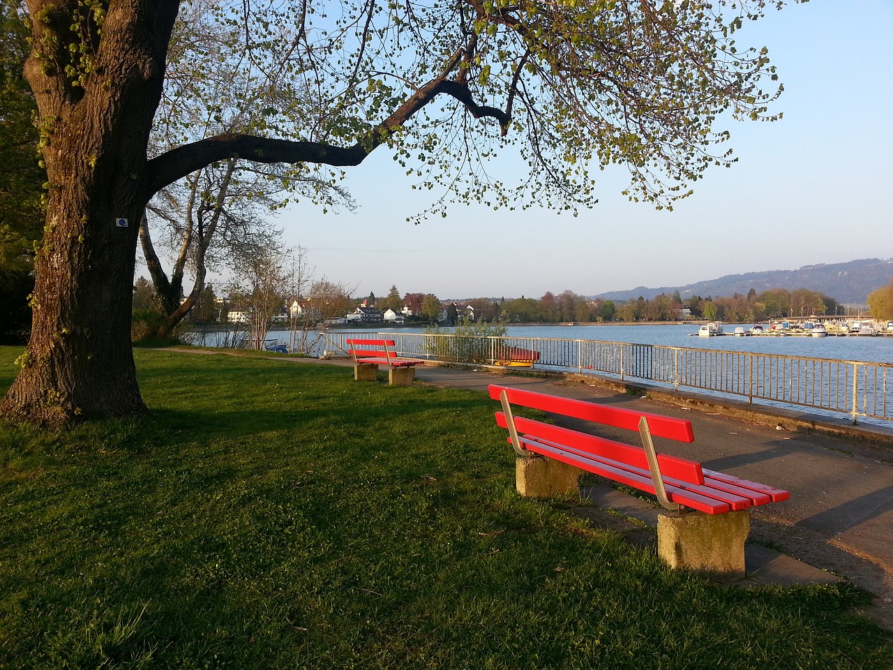 为赛季走势 为赛季走势