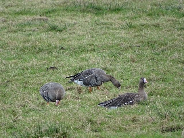 其的这场地 其的这场地