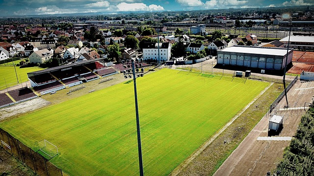 滕哈赫：利馬的傷勢無疑是他的挫折，但他是個鬥誌堅韌的球員.