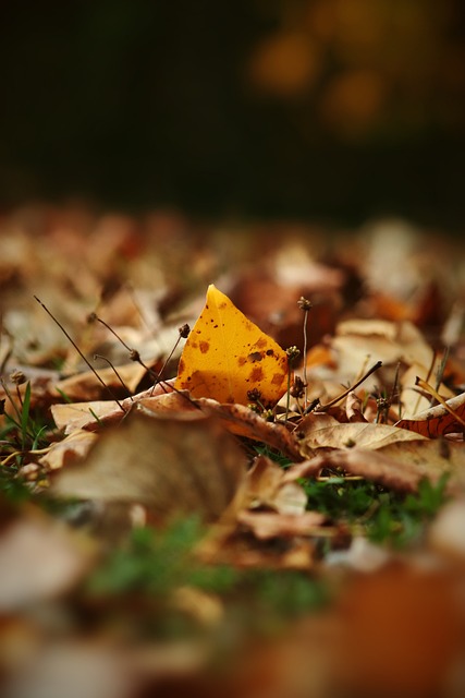 个方面展开 个方面展开